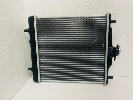 Radiador Chana  1050